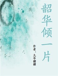 韶華傾一片